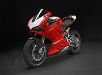 Tutte le parti originali e di ricambio per il tuo Ducati Superbike Panigale R 1199 2017.